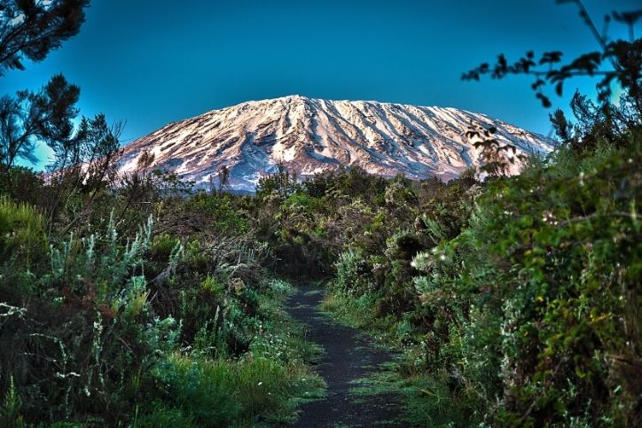 12 Days Marangu Route Kilimanjaro Climb And Wildlife Safari